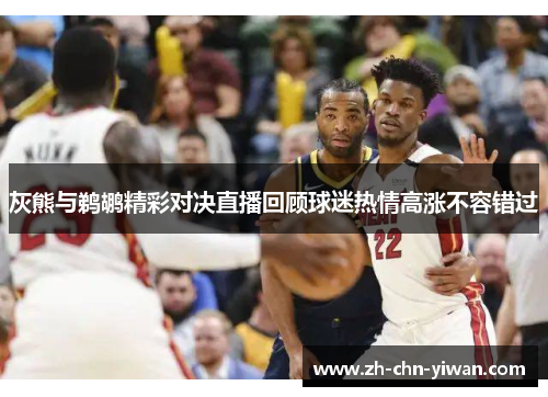 灰熊与鹈鹕精彩对决直播回顾球迷热情高涨不容错过