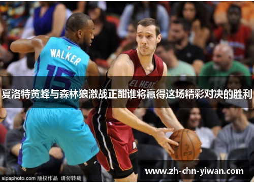 夏洛特黄蜂与森林狼激战正酣谁将赢得这场精彩对决的胜利